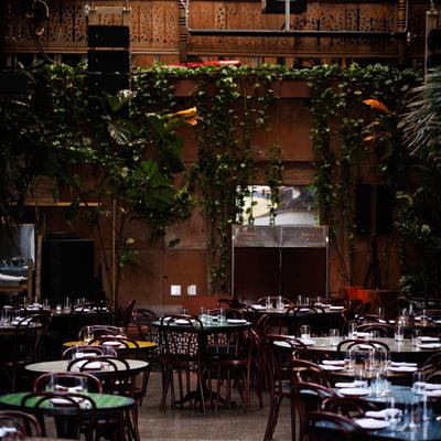 gallery photo number 11