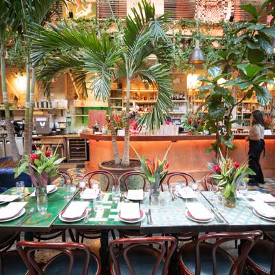 gallery photo number 16