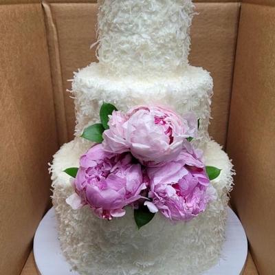 gallery photo number 15