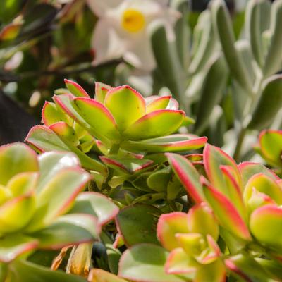 gallery photo number 120