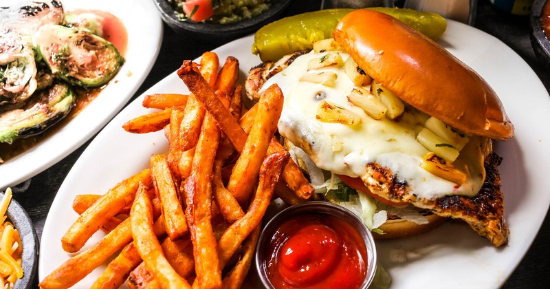 Chicken sandwich, served with fries, pickle and a red sauce dip