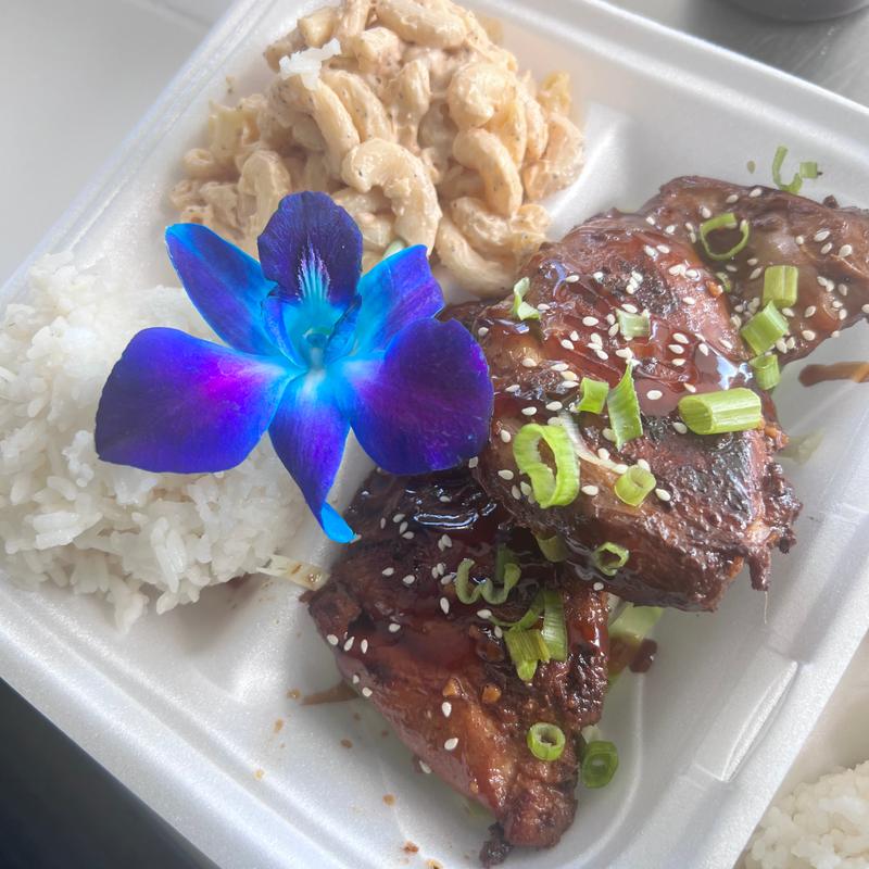 Teri Chicken Plate photo