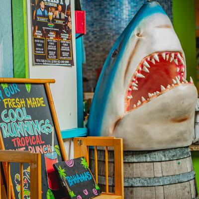 Shark head decoration.