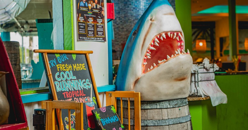 Shark head decoration