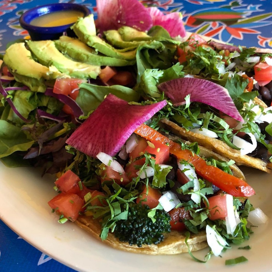 Vegan Meet up event photo