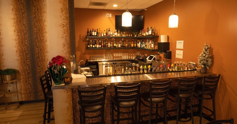 Interior, bar area, inox top bar with stools, corner drink shelves, TV in the corner