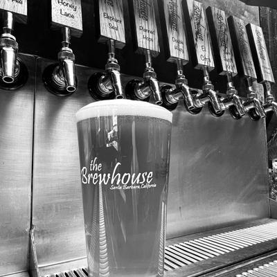 single brewhouse beer filled and foam head sitting below beer tap.