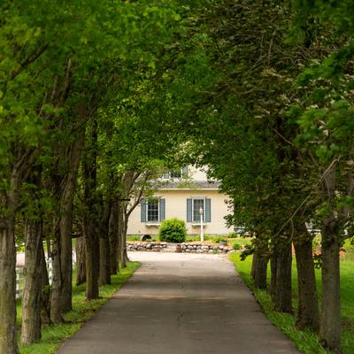 gallery photo number 74