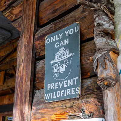 gallery photo number 35