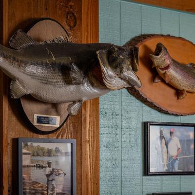 Fishing trophies on the wall.