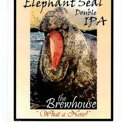 Elephant seal with mouth wide open.