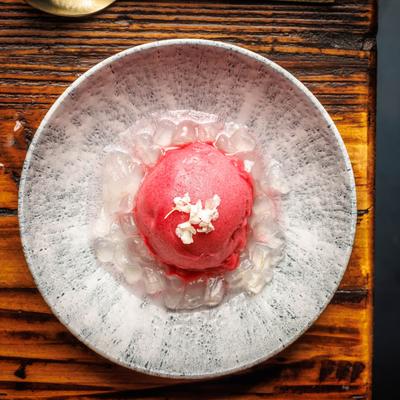 Prickly Pear Sorbet with Aloe.