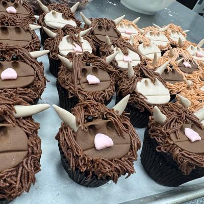 gallery photo number 962