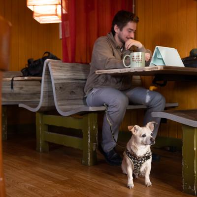 Interior, diner area, table, bench, guest and pet dog.