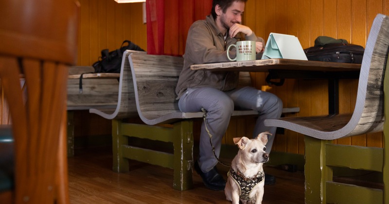 Interior, diner area, table, bench, guest and pet dog