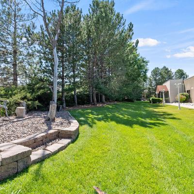 Grass area near trees