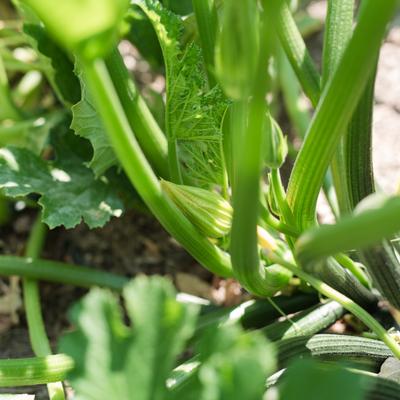 gallery photo number 16