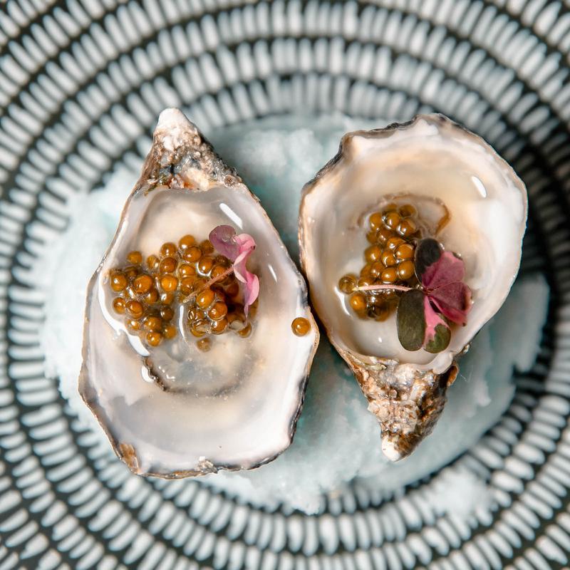 Shigoku Oyster photo