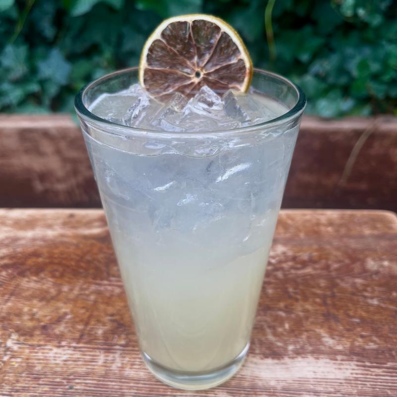 Elderflower Eclipse photo