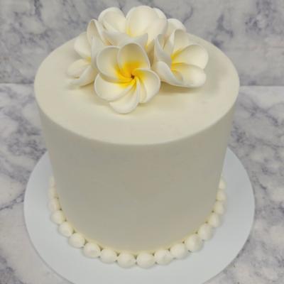 gallery photo number 8