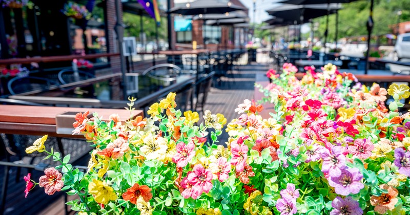 Exterior, flowers in front the patio