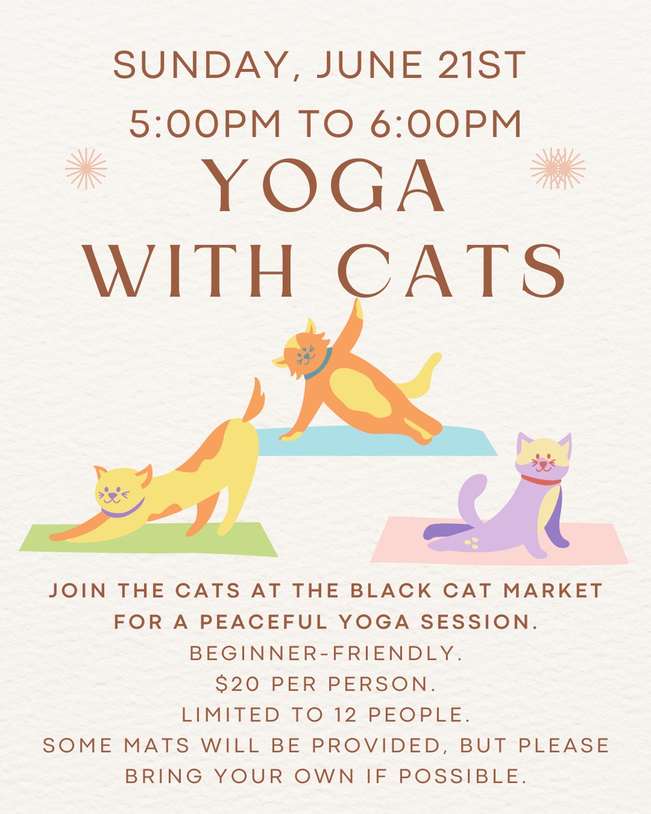 Yoga with Cats - June 21st event photo