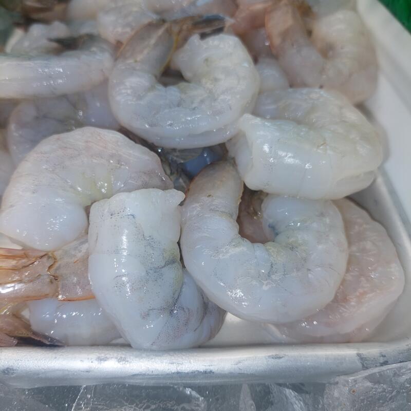 Jombo Shrimp  PD photo