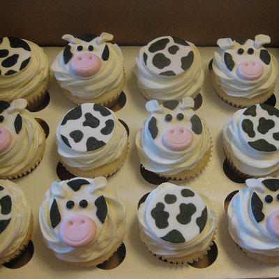 gallery photo number 6