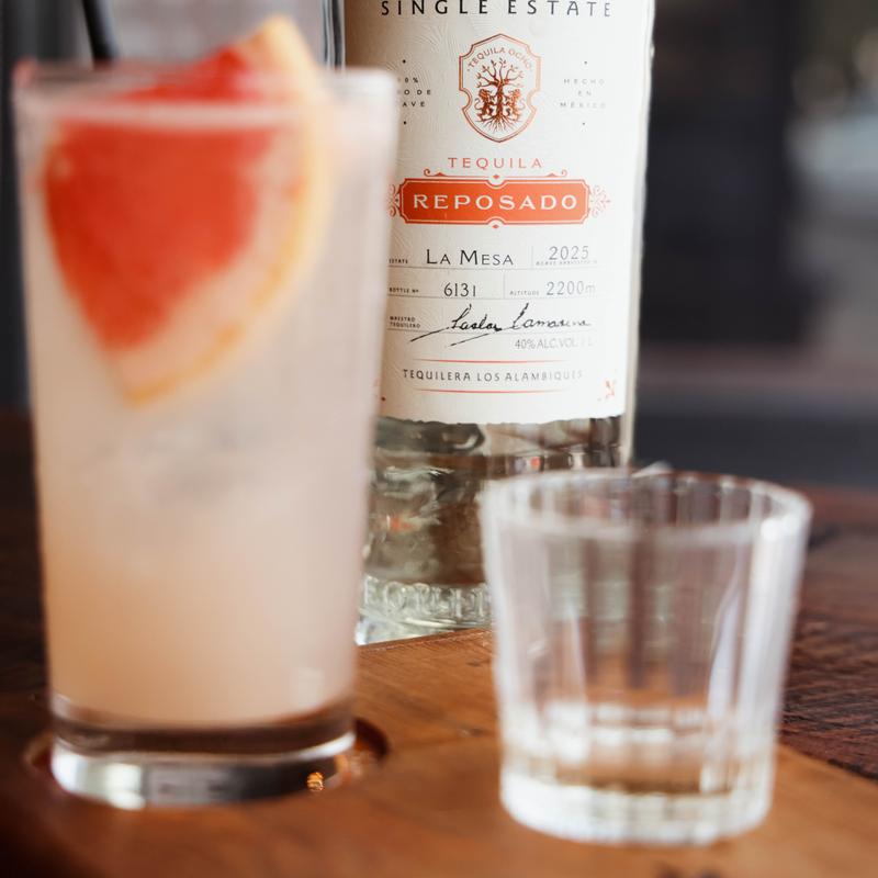 Premium Paloma photo