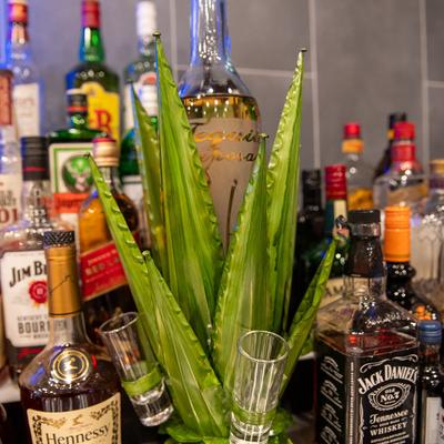 Tequila in aloe-shaped wooden holder with shot glasses and liquor bottles around.
