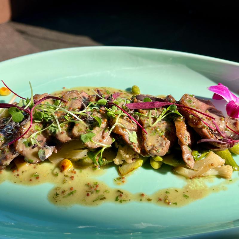 Summer Blush Duck photo