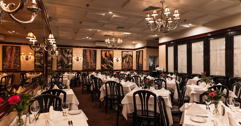Interior, wide shot of dining area