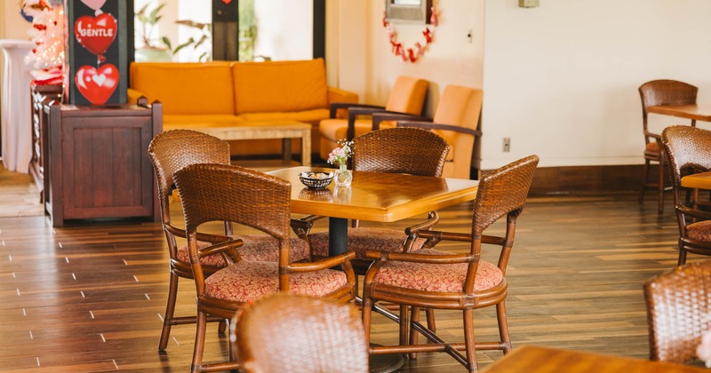 Interior, table ready for guests