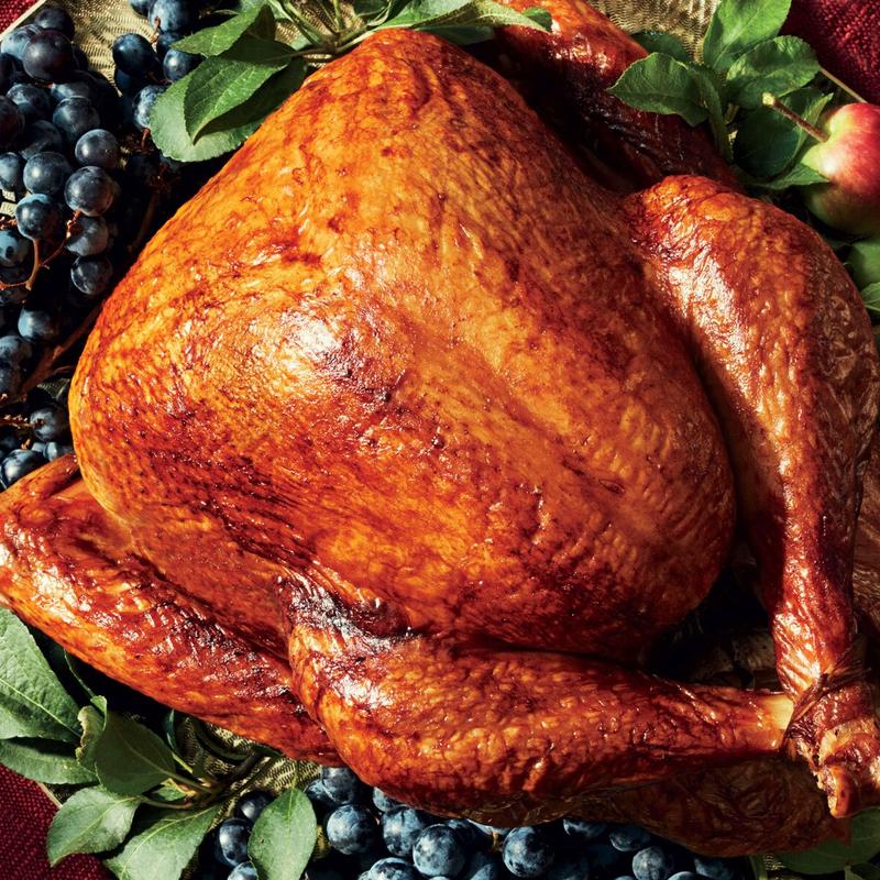 Eleven Pound Turkey photo