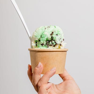 Mint chocolate chip ice cream