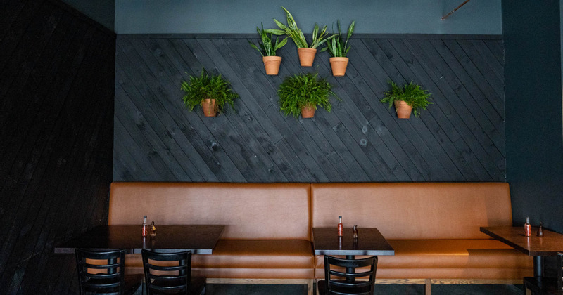 Interior, tables and plant pots hanging on the wall