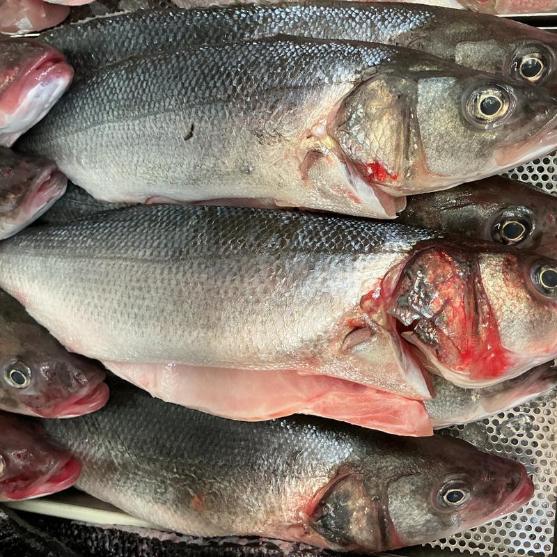 Branzino photo