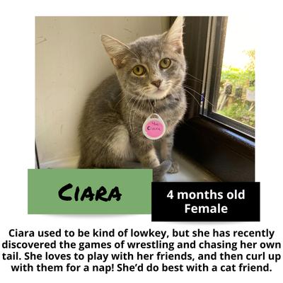 gallery photo number 15