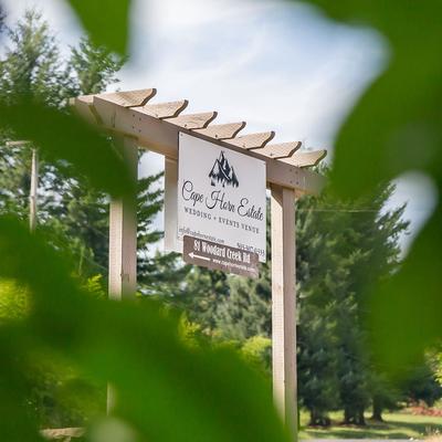 gallery photo number 216