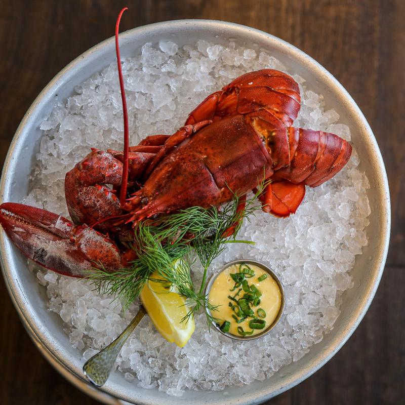 Chilled 1.25 lb. Maine Lobster photo