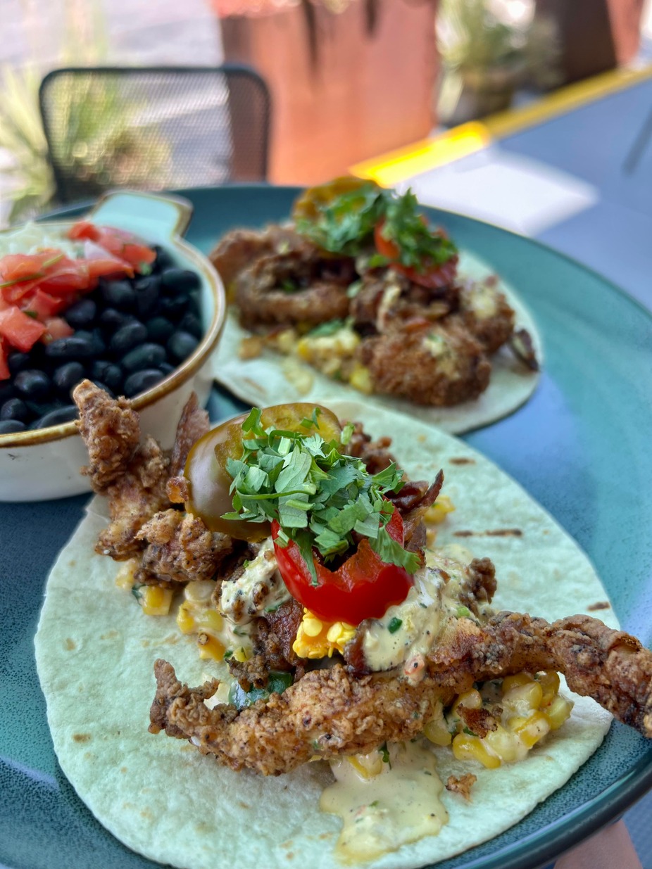 Tuesday December 23rd Special 1