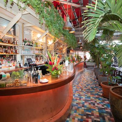 gallery photo number 9