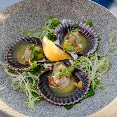 Scallops served in shells with greens and lemon wedge.