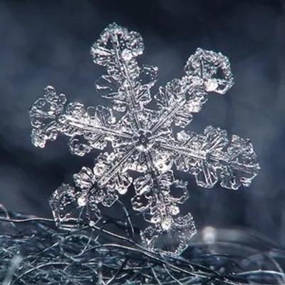 gallery photo number 245