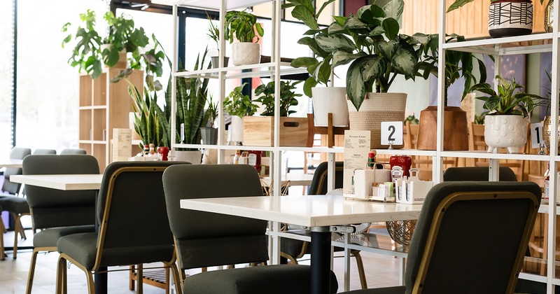 Dining tables and potted plants