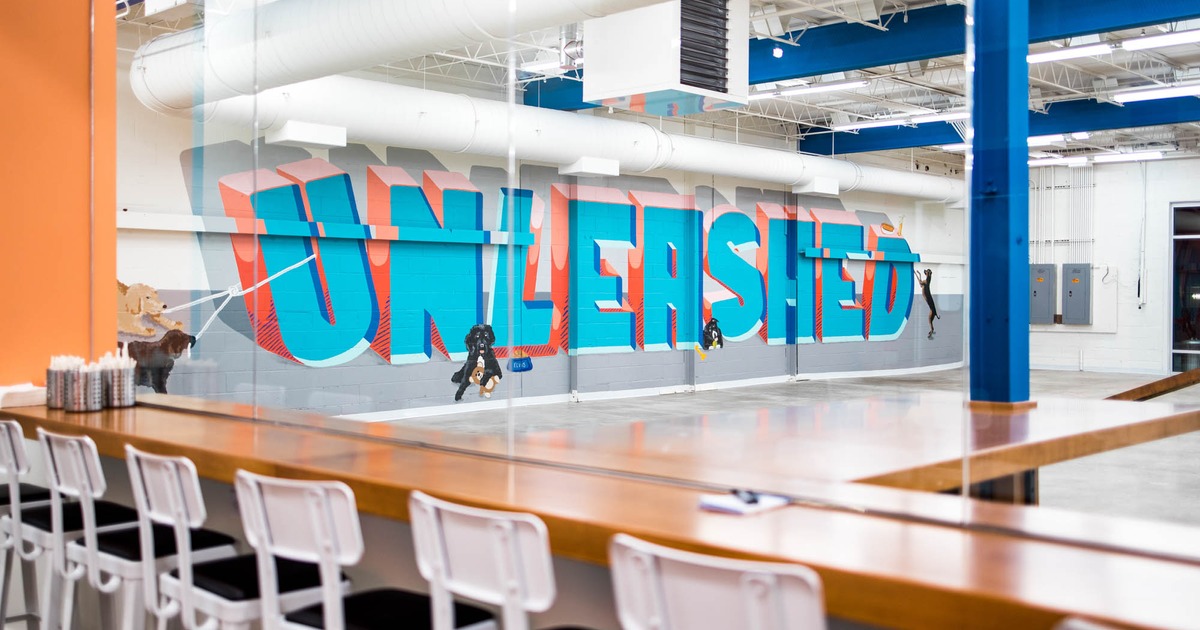 Indoor off-leash dog park space