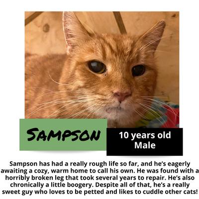 gallery photo number 5