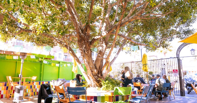 Exterior, patio, and seating area around the tree