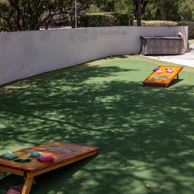Cornhole playing field.