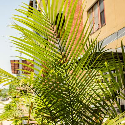 gallery photo number 119